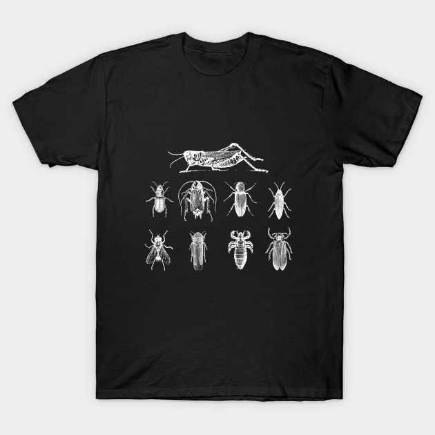 Insect - Insects T-Shirt by Kudostees